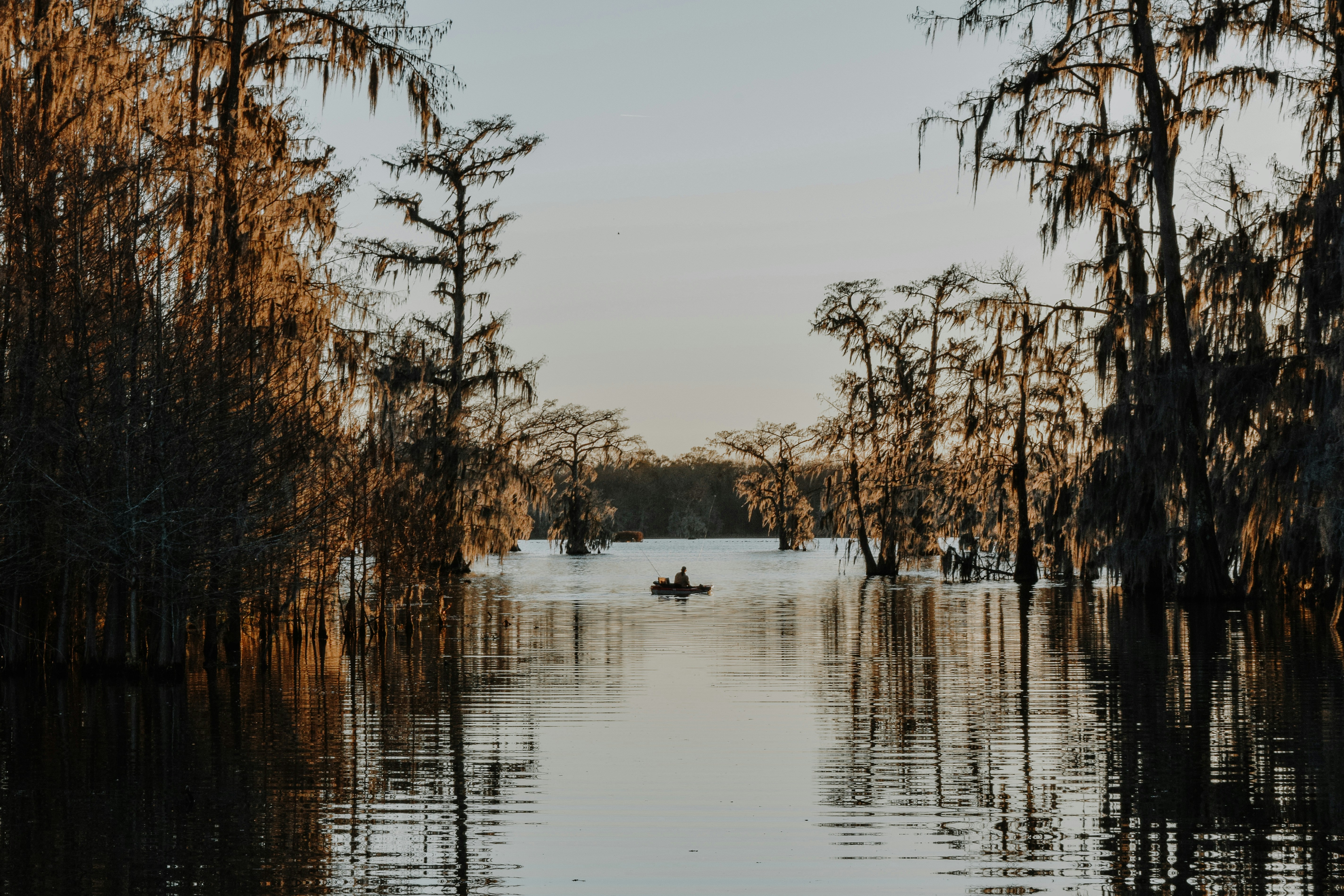 Scenic view of Louisiana
